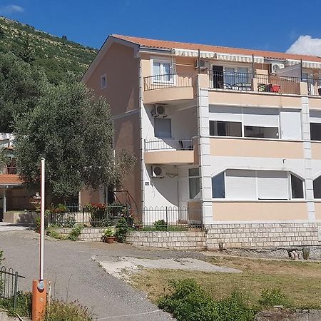 Apartmani Irena Petrovac Bagian luar foto