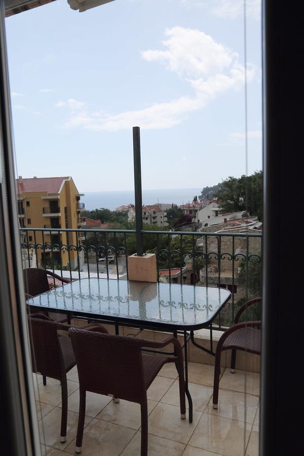 Apartmani Irena Petrovac Bagian luar foto