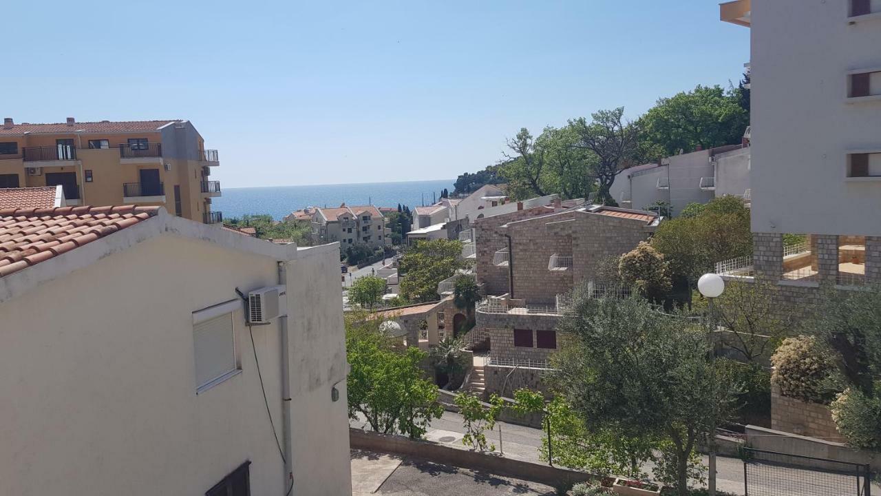 Apartmani Irena Petrovac Ruang foto